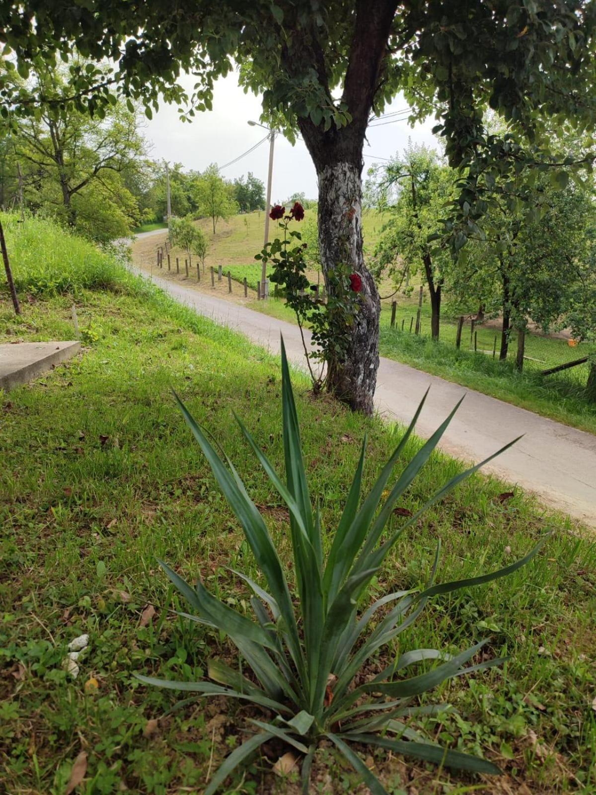 Apartman-Vikendica Mihajlovic Banja Luka Kültér fotó